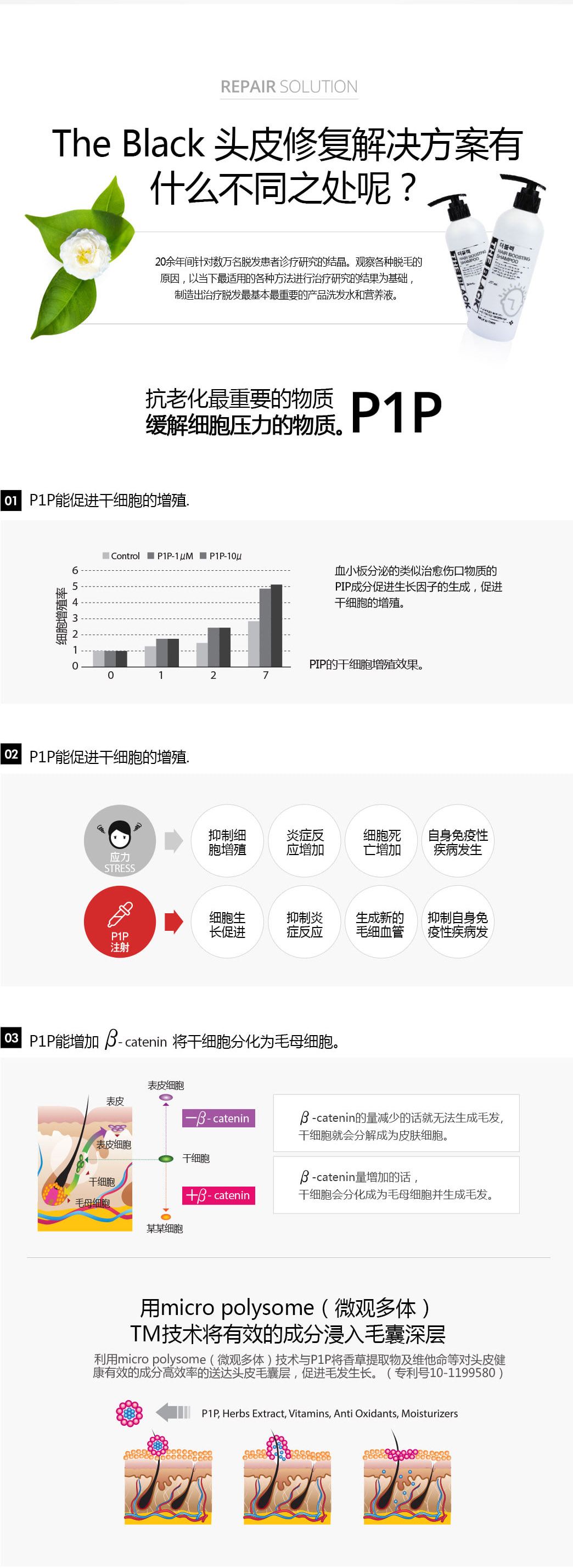 布萊克 毛发再生洗发水 250ml/韩国原装正品/韩国直邮 2