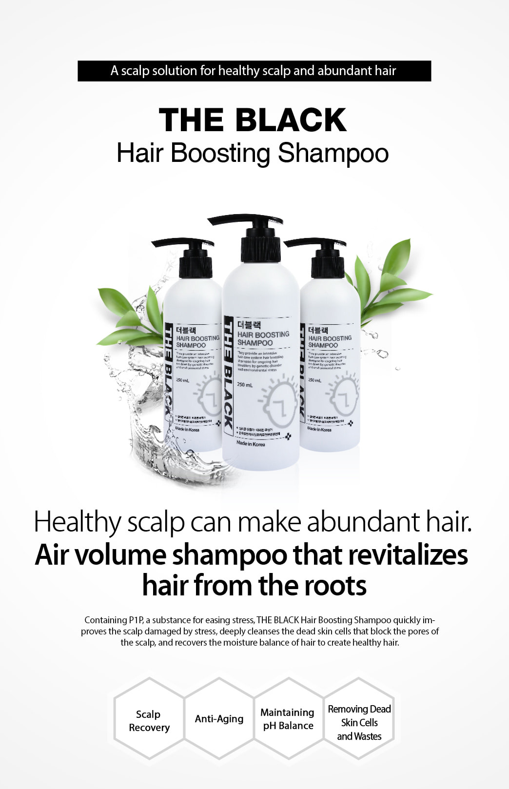 The BLACK Hair Boosting Shampoo 250ml / Authentic / International Shipping from Korea description 1