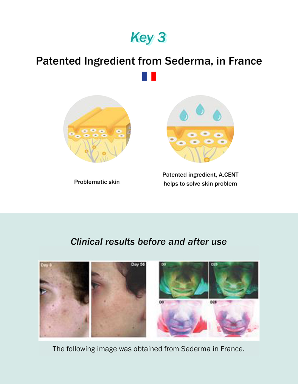 MEDIMINE Phyto A.CICA Ampoule description picture 6